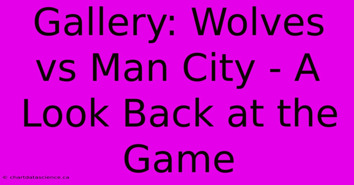 Gallery: Wolves Vs Man City - A Look Back At The Game 