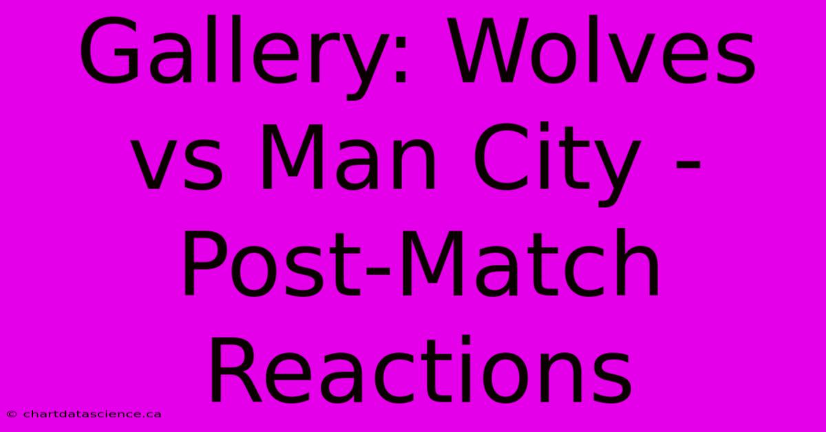 Gallery: Wolves Vs Man City - Post-Match Reactions