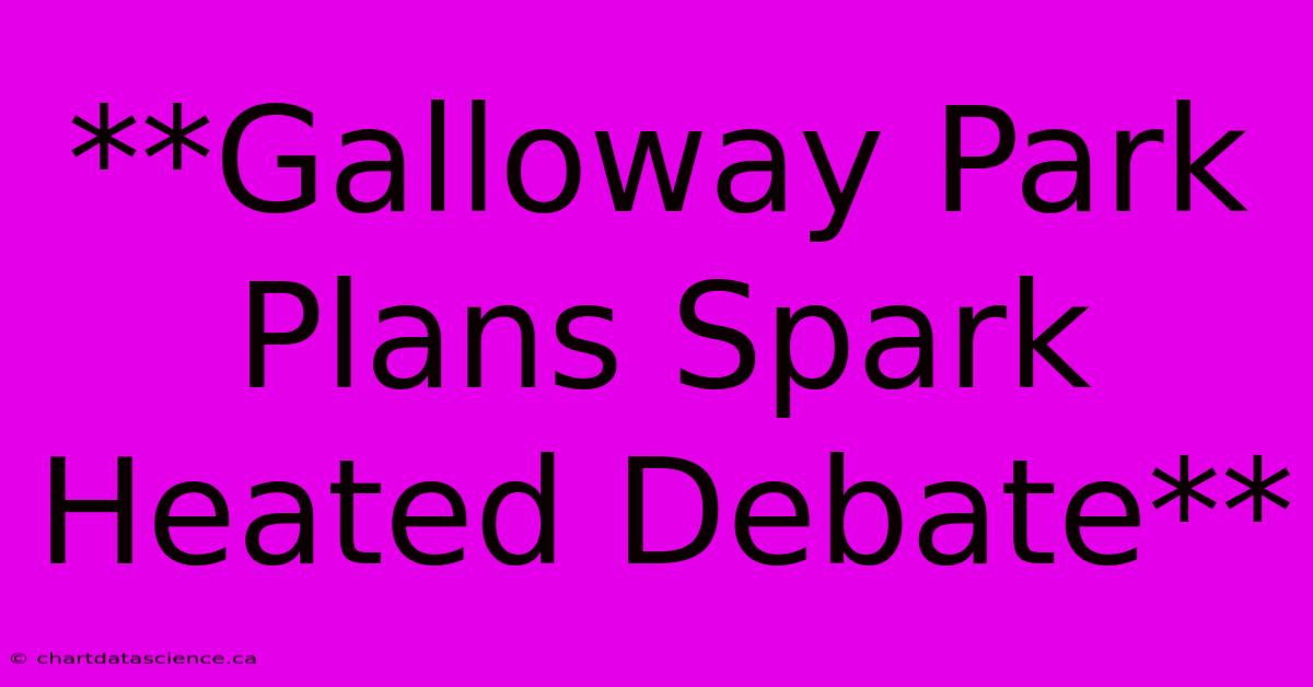 **Galloway Park Plans Spark Heated Debate**