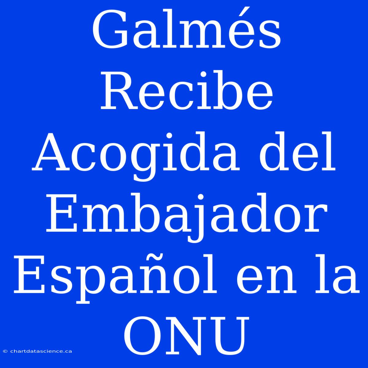 Galmés Recibe Acogida Del Embajador Español En La ONU