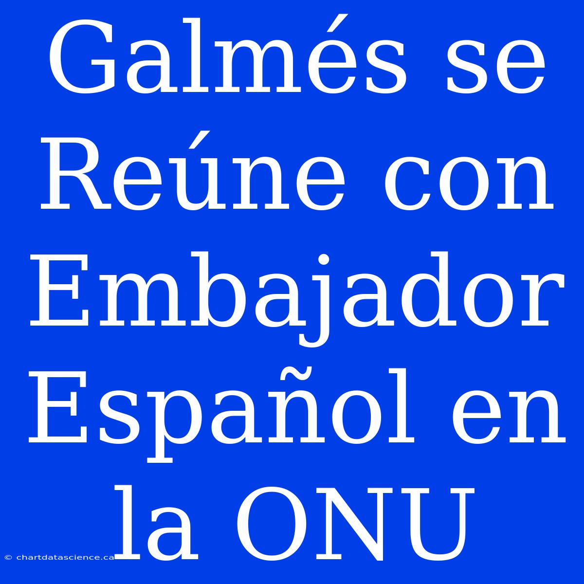 Galmés Se Reúne Con Embajador Español En La ONU