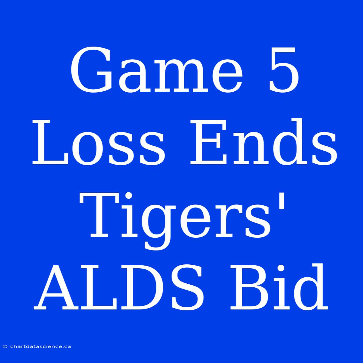 Game 5 Loss Ends Tigers' ALDS Bid