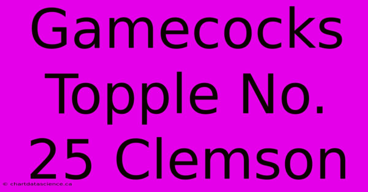 Gamecocks Topple No. 25 Clemson