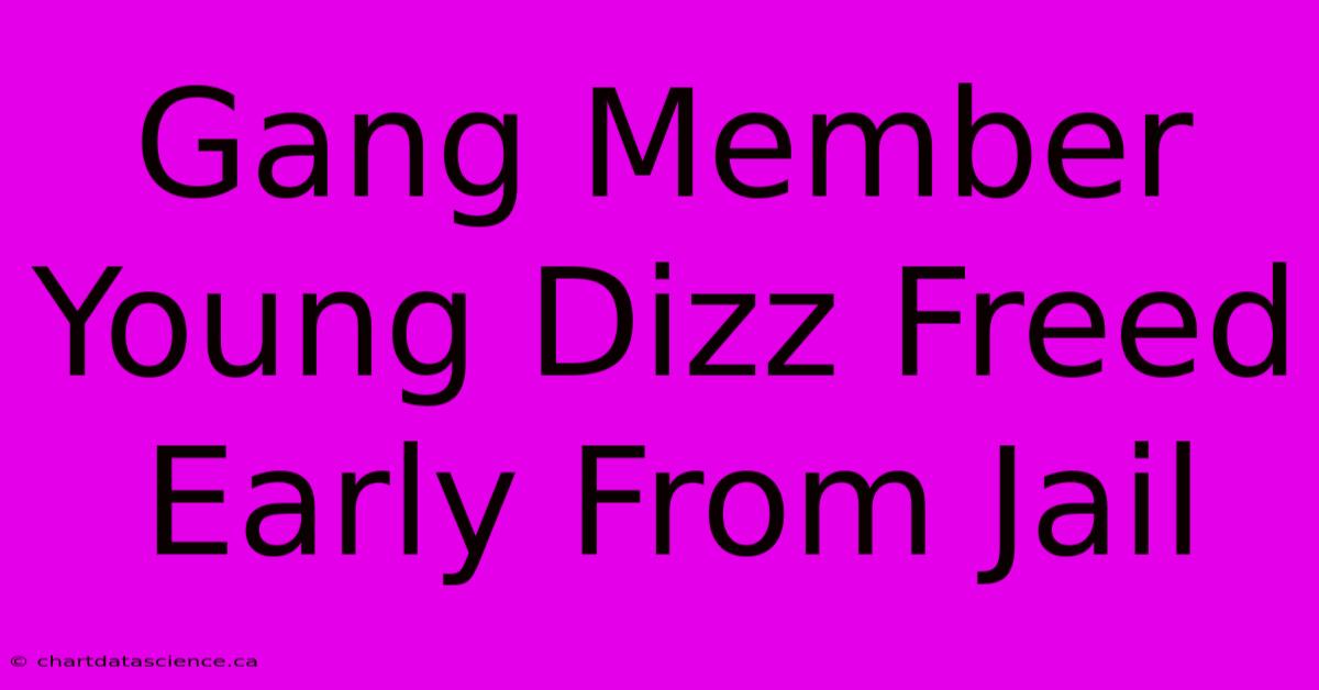 Gang Member Young Dizz Freed Early From Jail