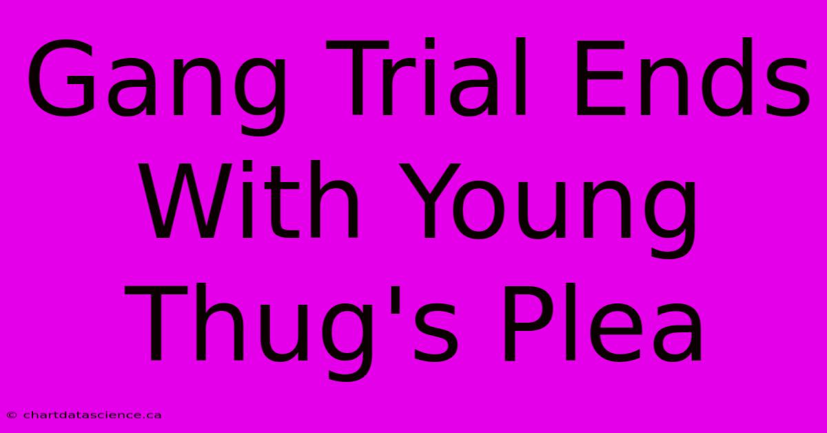 Gang Trial Ends With Young Thug's Plea