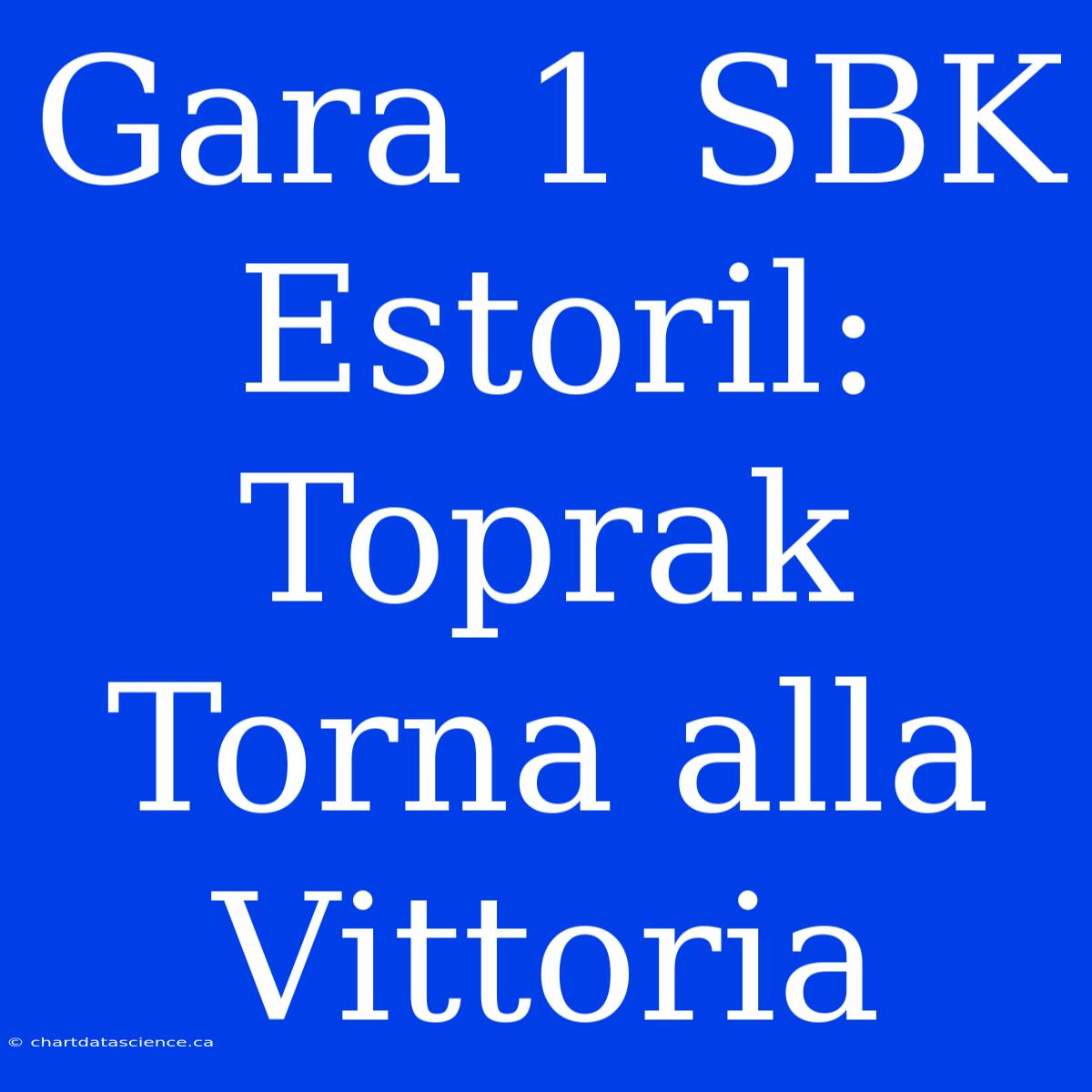 Gara 1 SBK Estoril: Toprak Torna Alla Vittoria