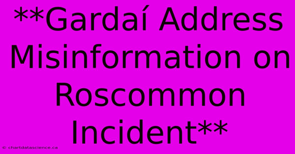 **Gardaí Address Misinformation On Roscommon Incident**