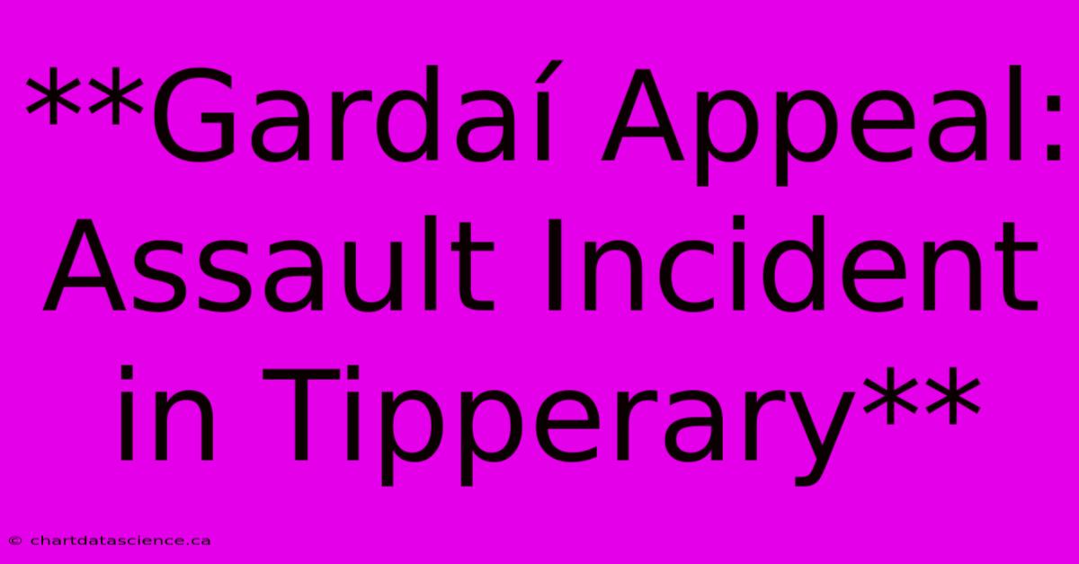 **Gardaí Appeal: Assault Incident In Tipperary**