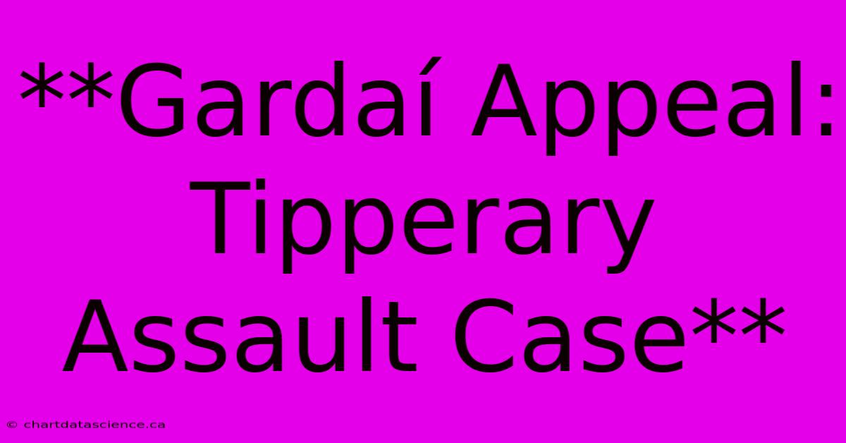 **Gardaí Appeal: Tipperary Assault Case** 