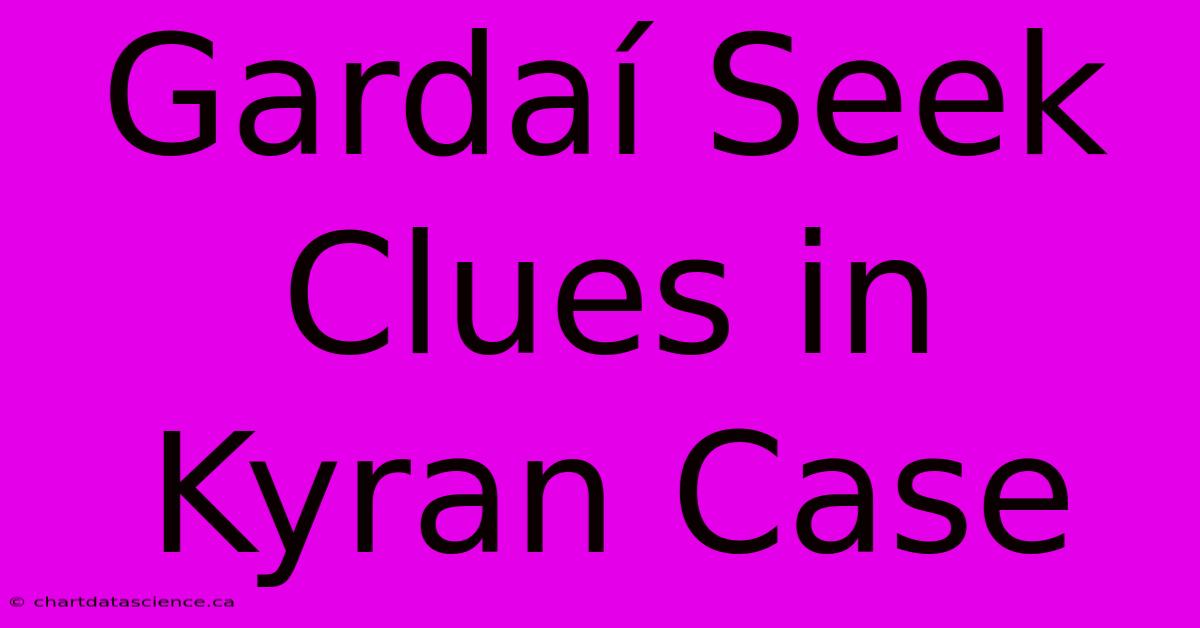 Gardaí Seek Clues In Kyran Case