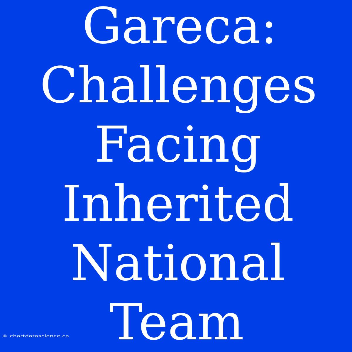 Gareca: Challenges Facing Inherited National Team