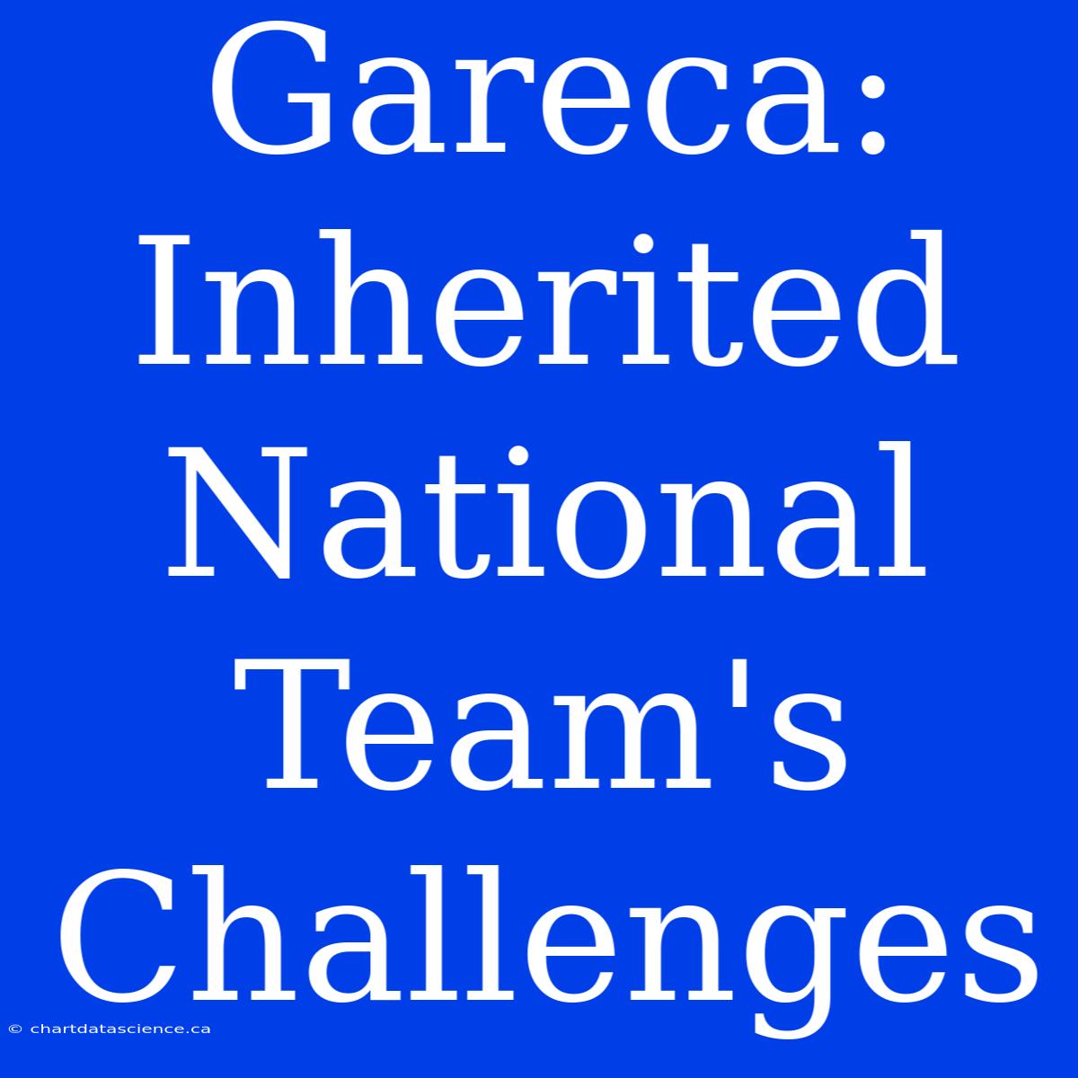 Gareca: Inherited National Team's Challenges