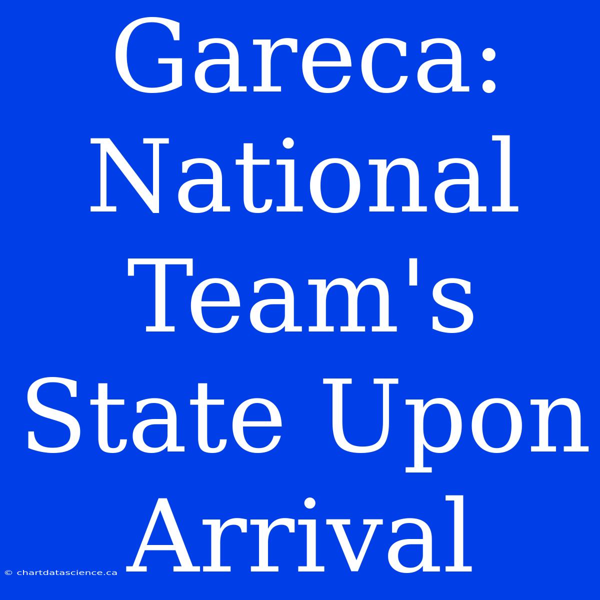 Gareca: National Team's State Upon Arrival