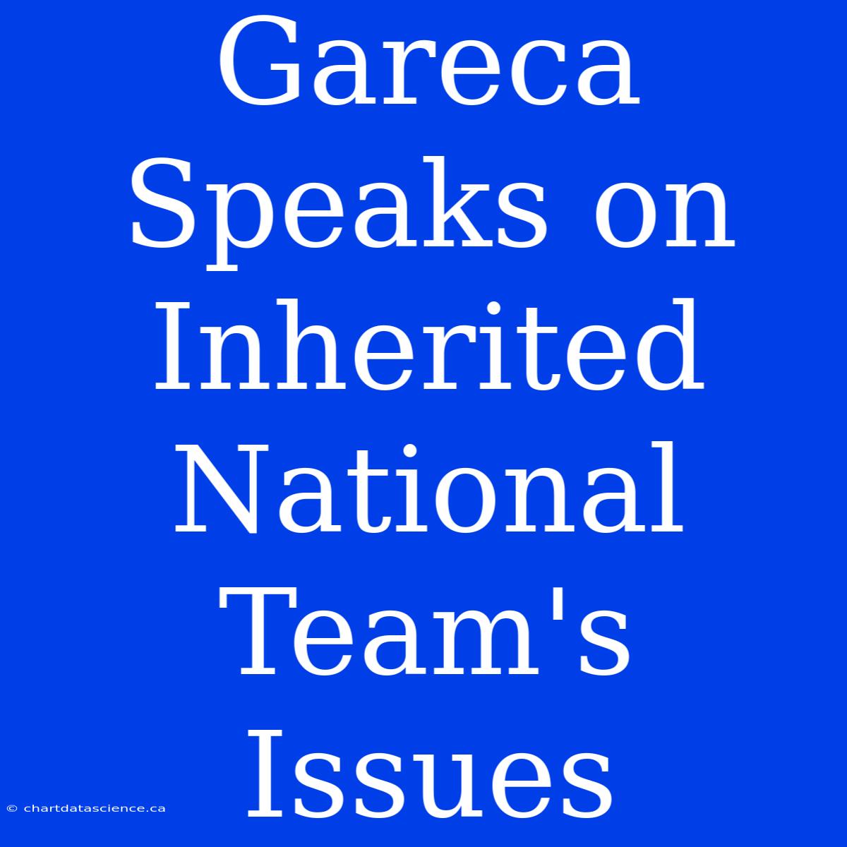 Gareca Speaks On Inherited National Team's Issues