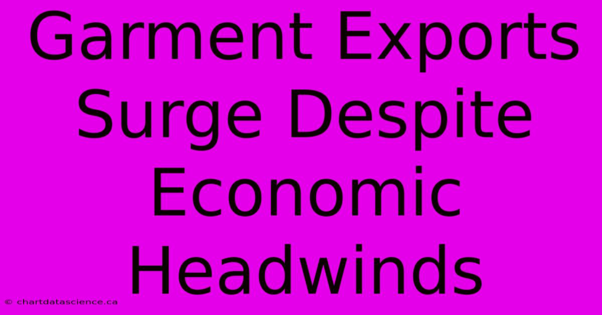 Garment Exports Surge Despite Economic Headwinds