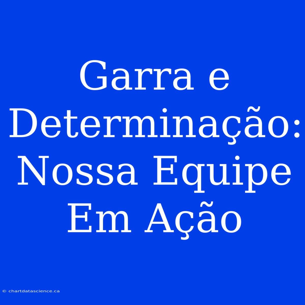 Garra E Determinação: Nossa Equipe Em Ação