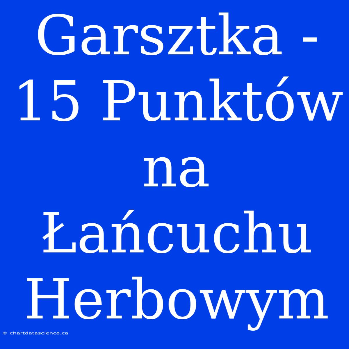 Garsztka - 15 Punktów Na Łańcuchu Herbowym