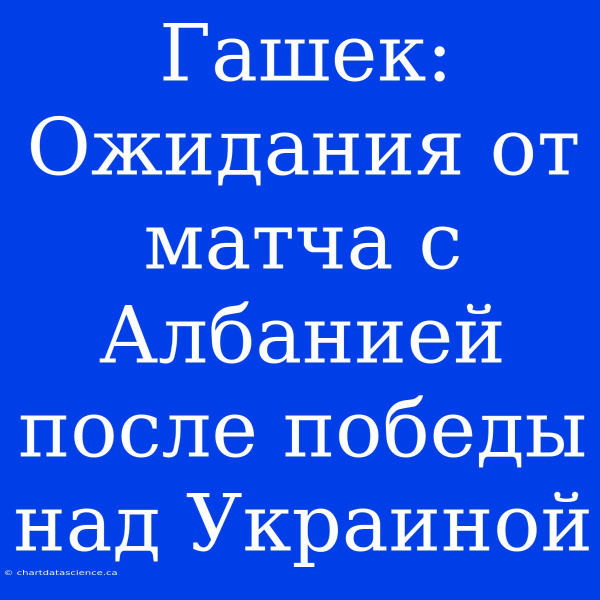 Гашек: Ожидания От Матча С Албанией После Победы Над Украиной