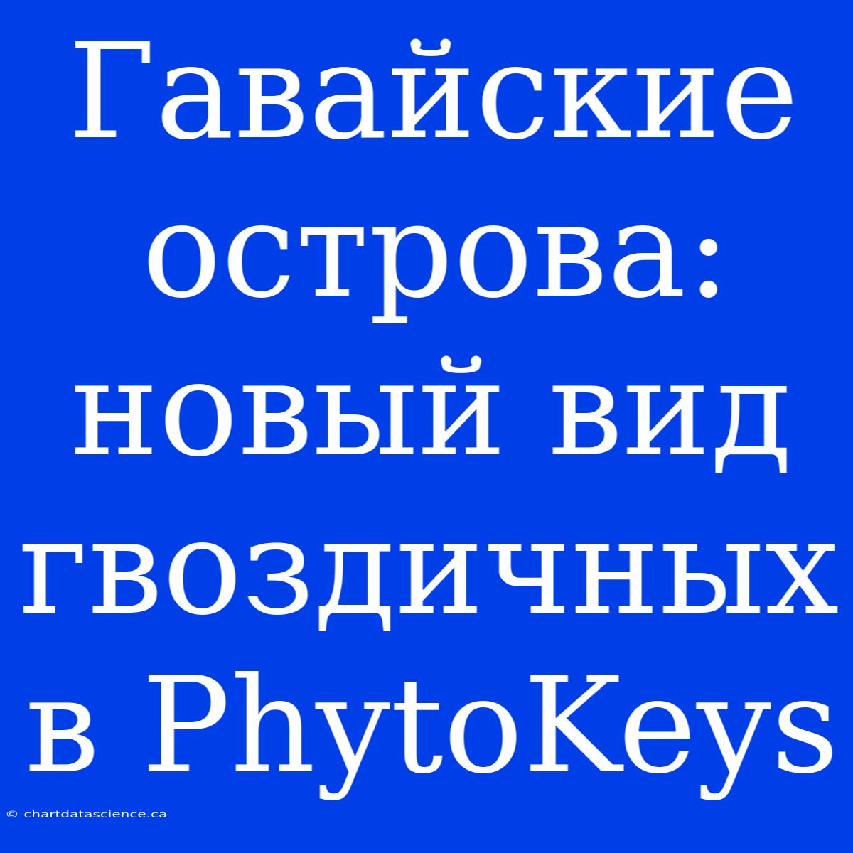 Гавайские Острова: Новый Вид Гвоздичных В PhytoKeys