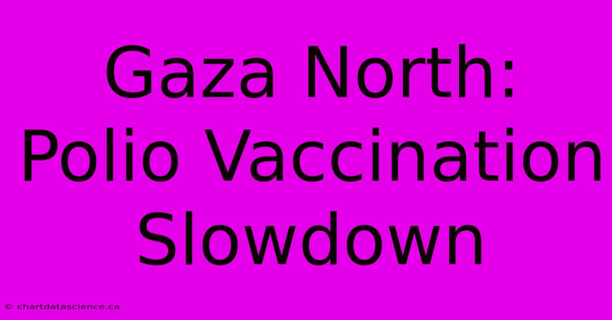 Gaza North: Polio Vaccination Slowdown