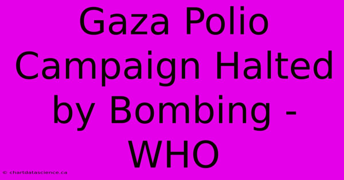 Gaza Polio Campaign Halted By Bombing - WHO