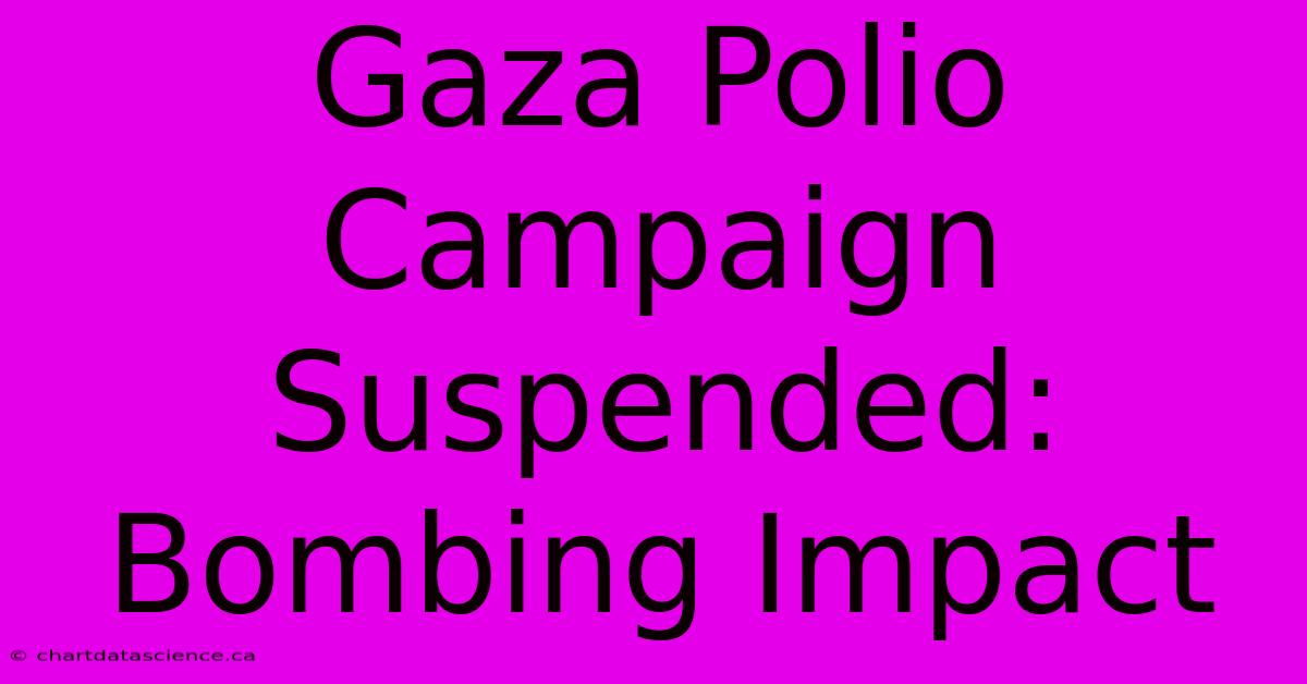 Gaza Polio Campaign Suspended: Bombing Impact