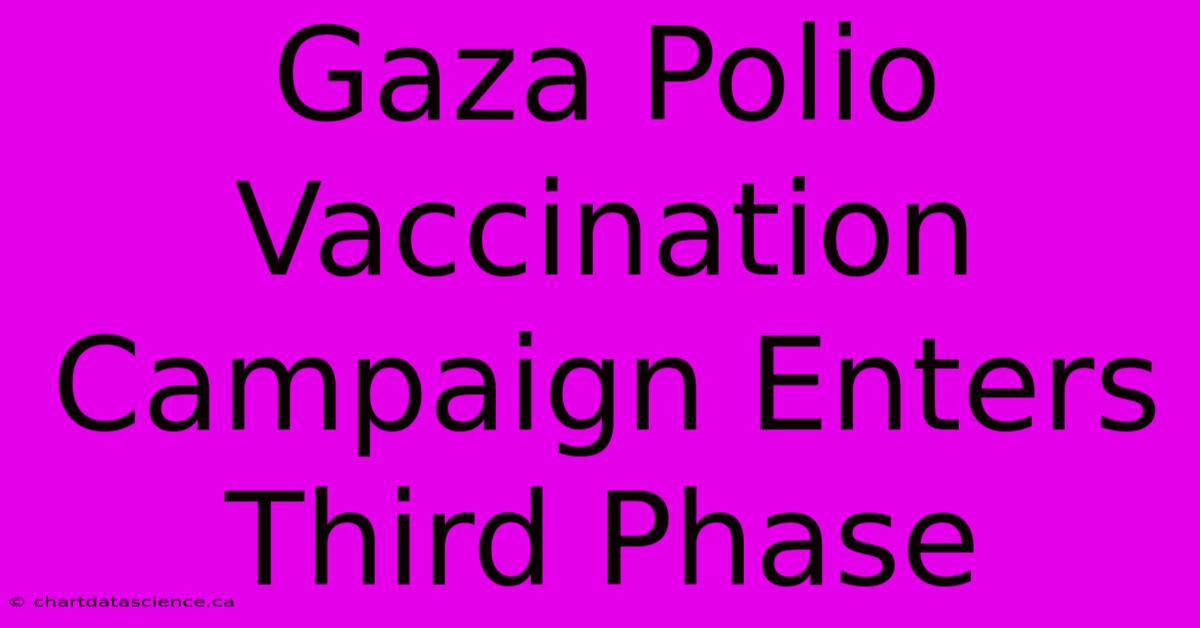 Gaza Polio Vaccination Campaign Enters Third Phase