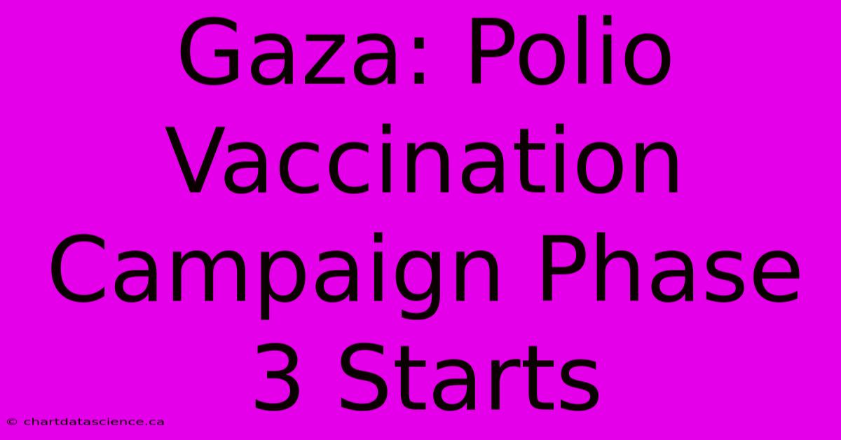 Gaza: Polio Vaccination Campaign Phase 3 Starts