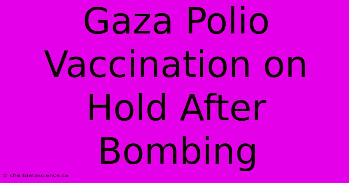 Gaza Polio Vaccination On Hold After Bombing