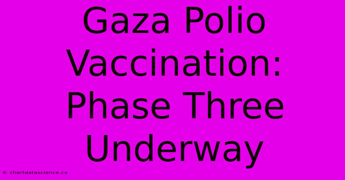 Gaza Polio Vaccination: Phase Three Underway