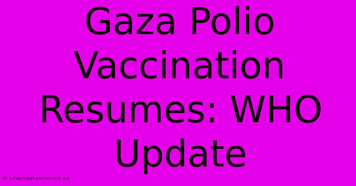 Gaza Polio Vaccination Resumes: WHO Update