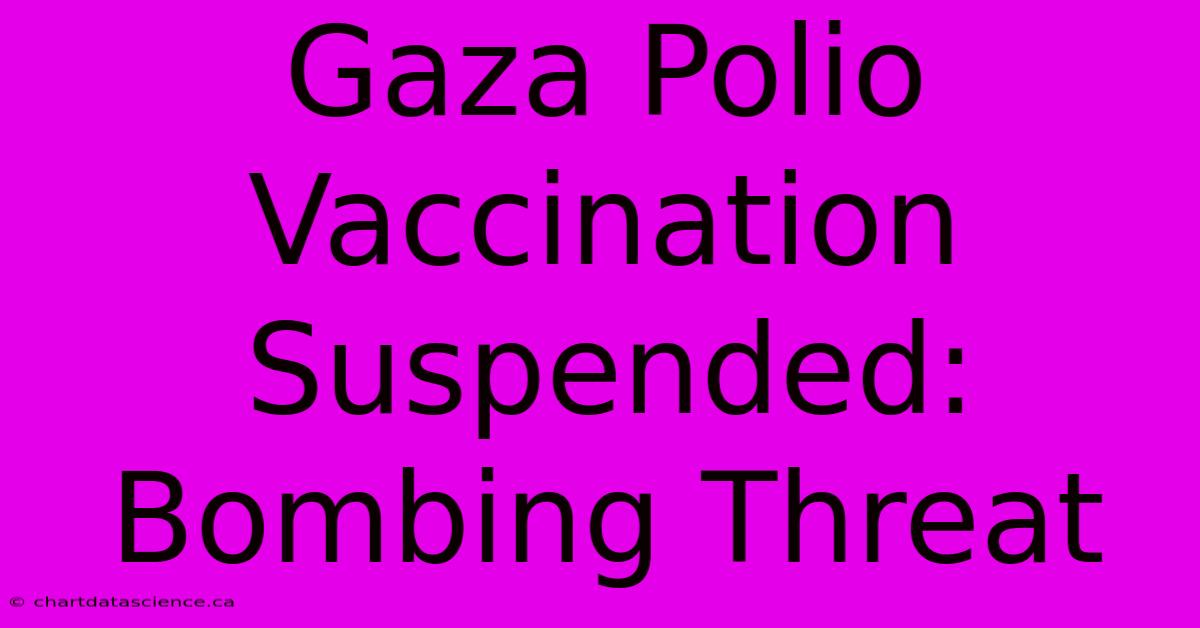 Gaza Polio Vaccination Suspended: Bombing Threat