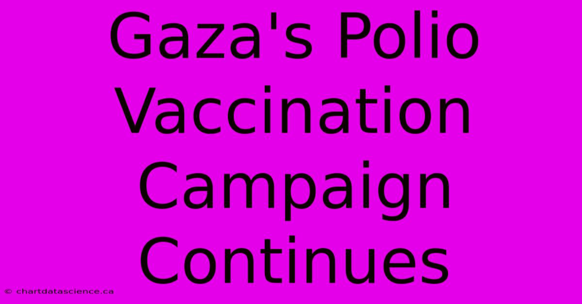 Gaza's Polio Vaccination Campaign Continues