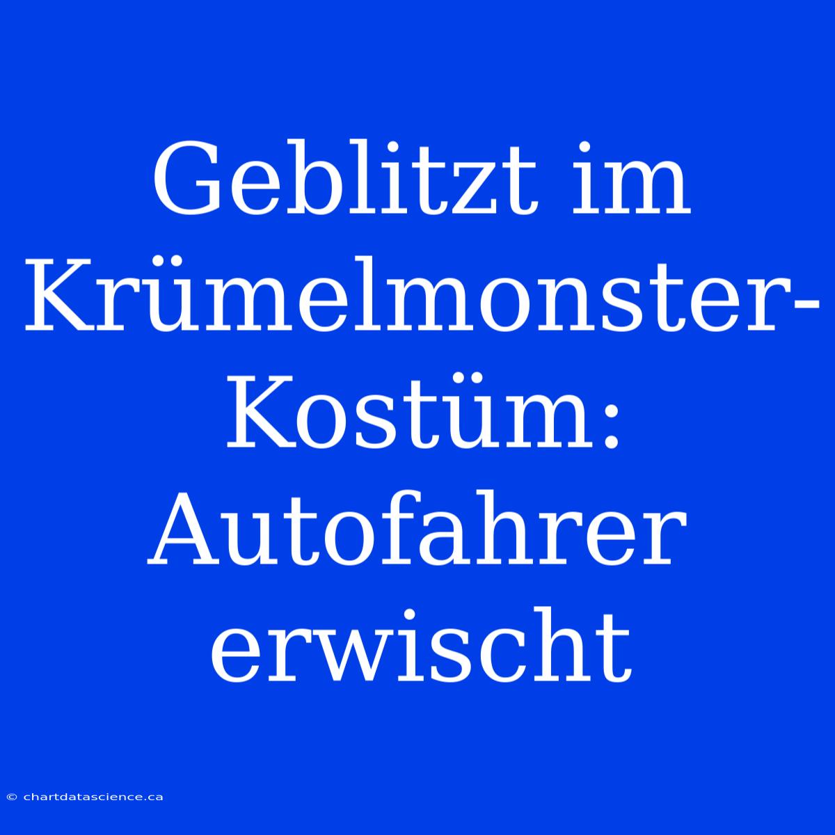 Geblitzt Im Krümelmonster-Kostüm: Autofahrer Erwischt