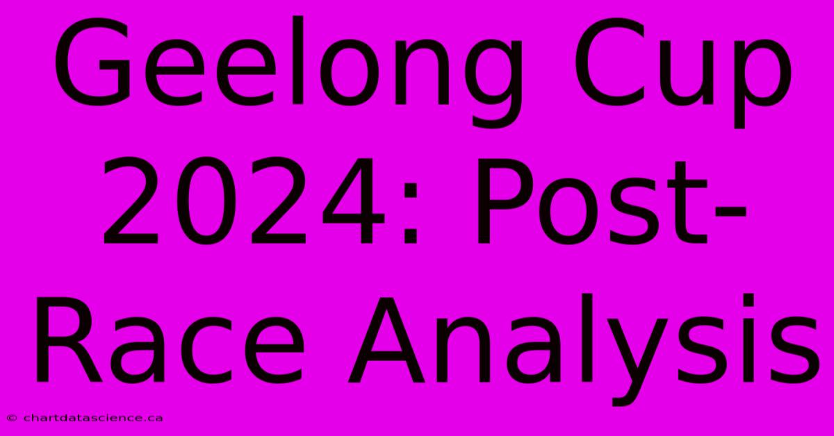 Geelong Cup 2024: Post-Race Analysis