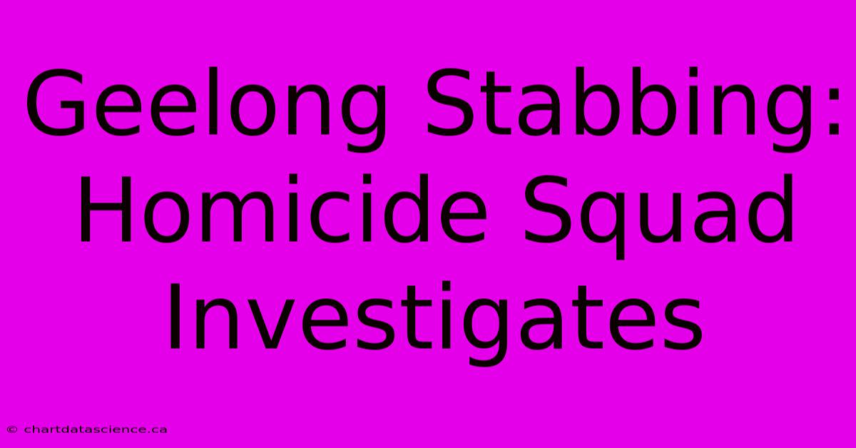 Geelong Stabbing: Homicide Squad Investigates