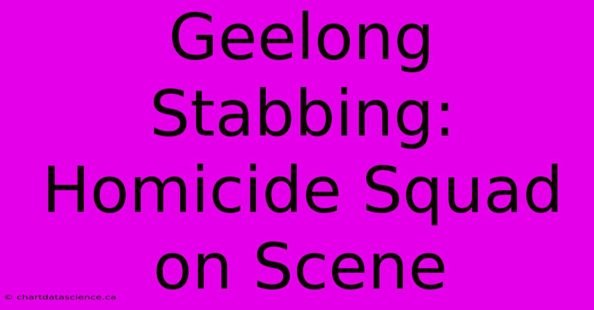 Geelong Stabbing: Homicide Squad On Scene 