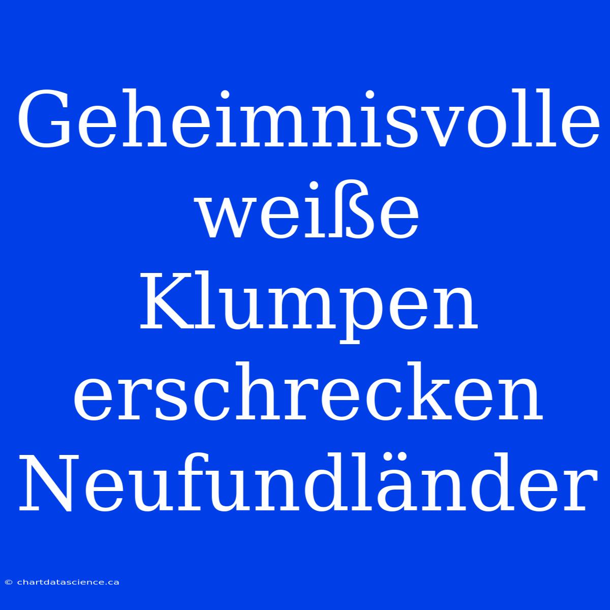 Geheimnisvolle Weiße Klumpen Erschrecken Neufundländer