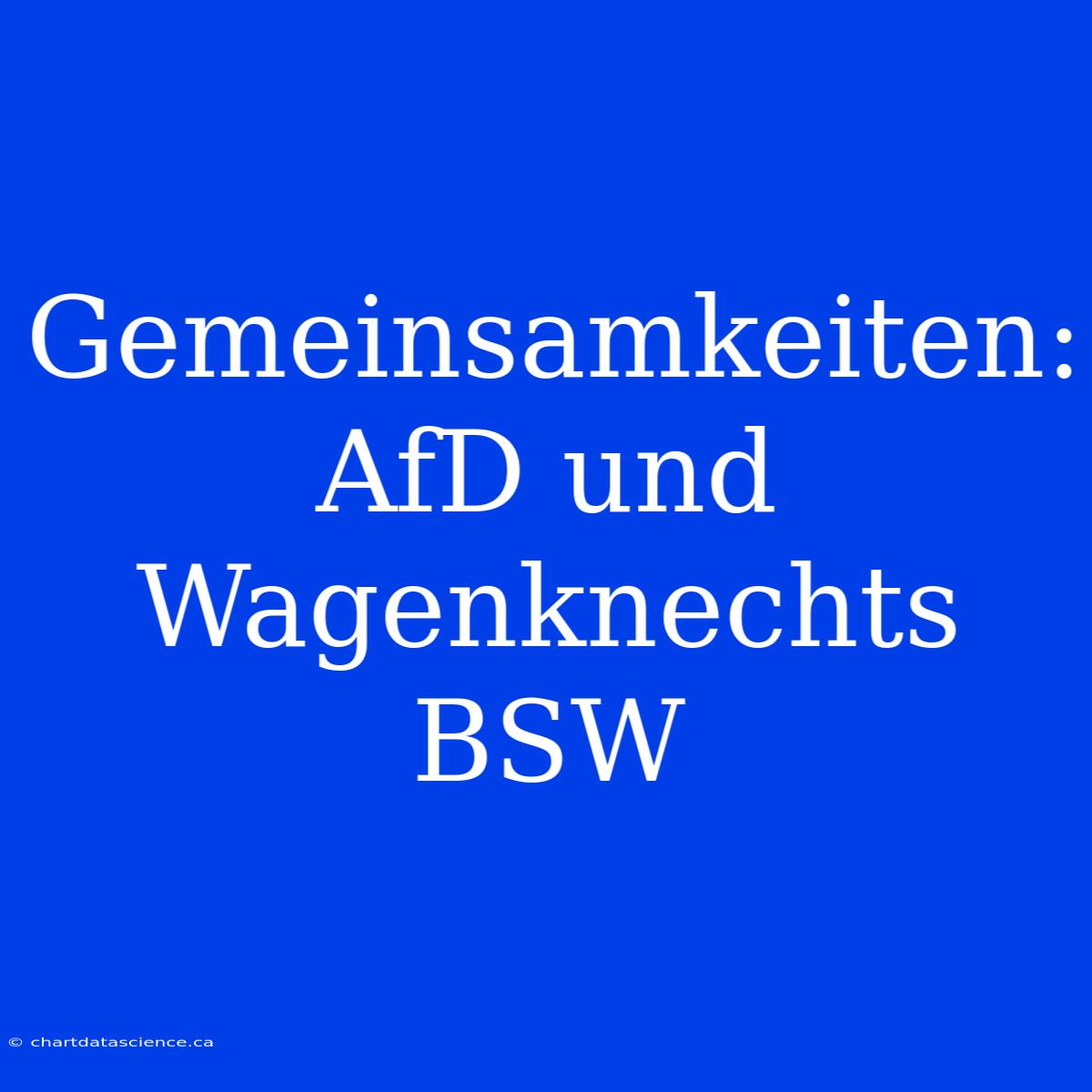 Gemeinsamkeiten: AfD Und Wagenknechts BSW