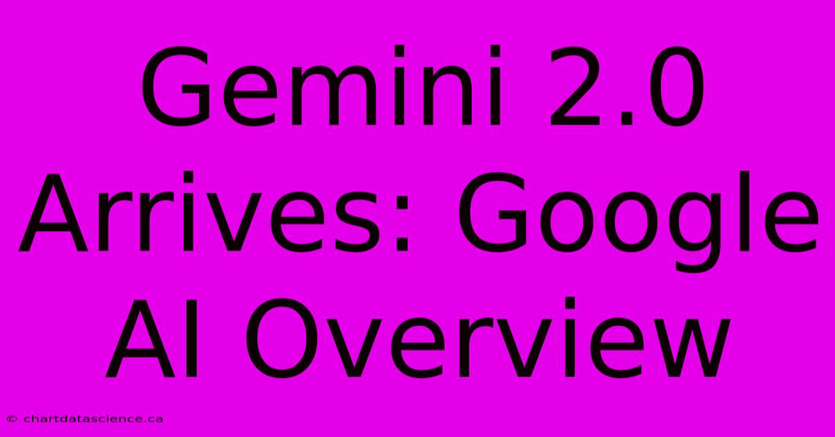 Gemini 2.0 Arrives: Google AI Overview