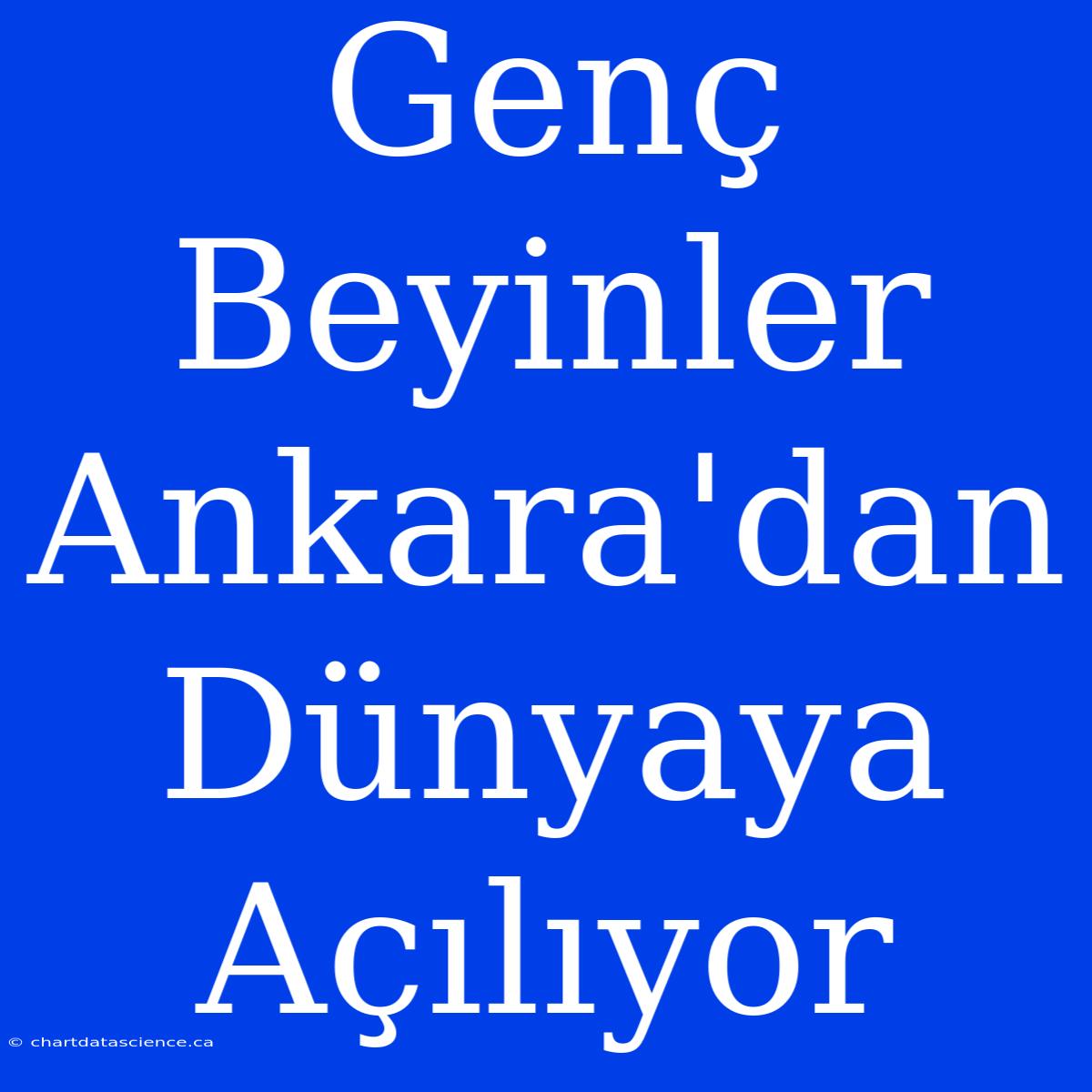 Genç Beyinler Ankara'dan Dünyaya Açılıyor