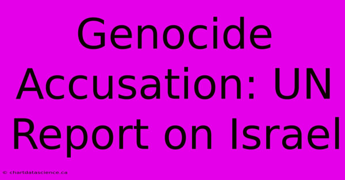 Genocide Accusation: UN Report On Israel