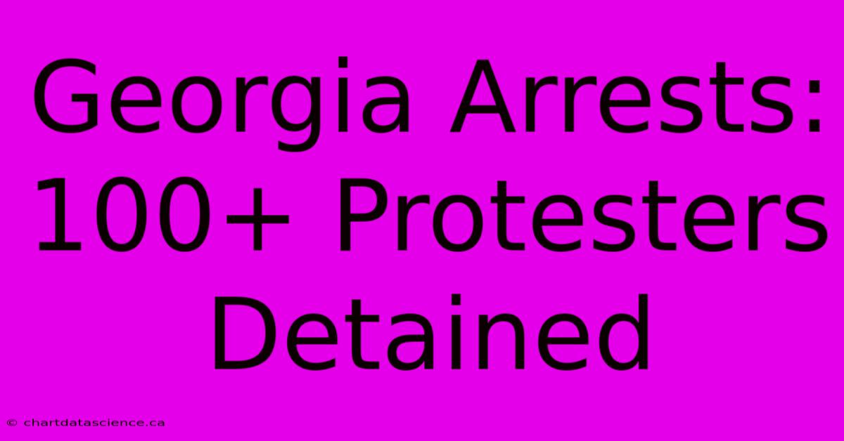 Georgia Arrests: 100+ Protesters Detained