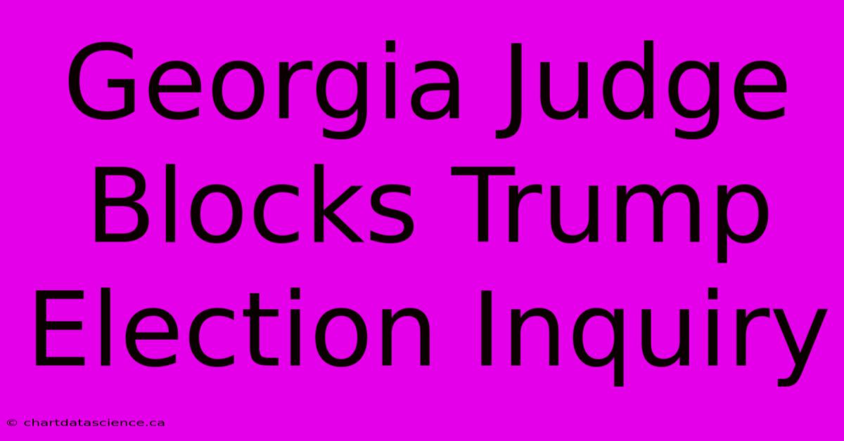 Georgia Judge Blocks Trump Election Inquiry