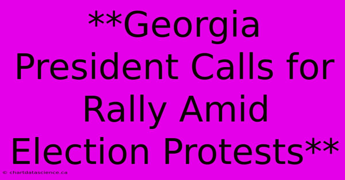 **Georgia President Calls For Rally Amid Election Protests**