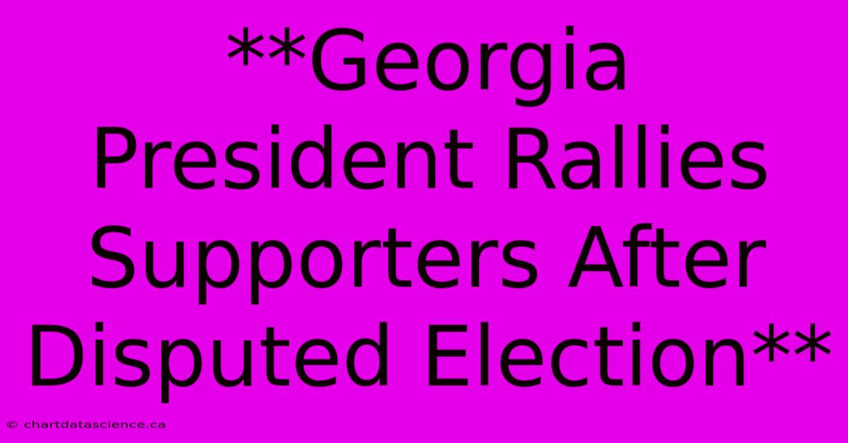 **Georgia President Rallies Supporters After Disputed Election** 