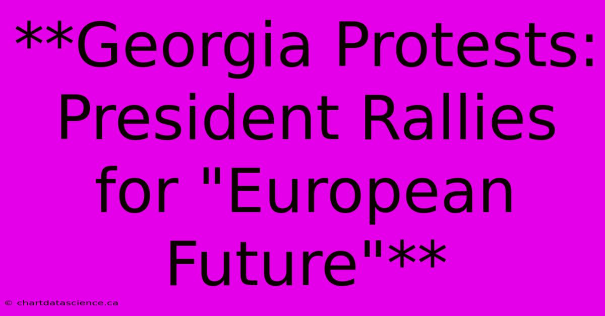 **Georgia Protests: President Rallies For 