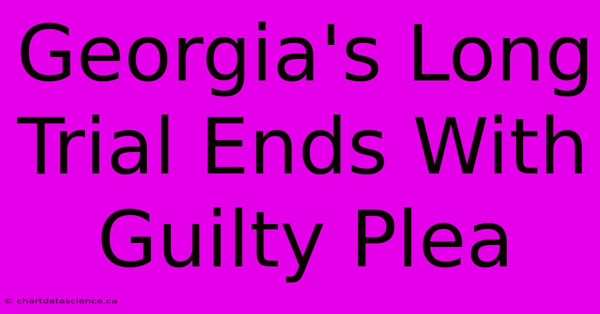 Georgia's Long Trial Ends With Guilty Plea