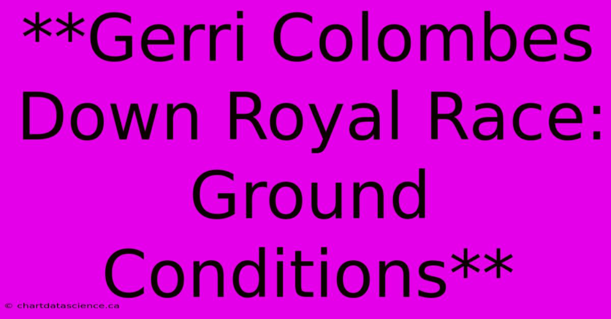 **Gerri Colombes Down Royal Race: Ground Conditions**