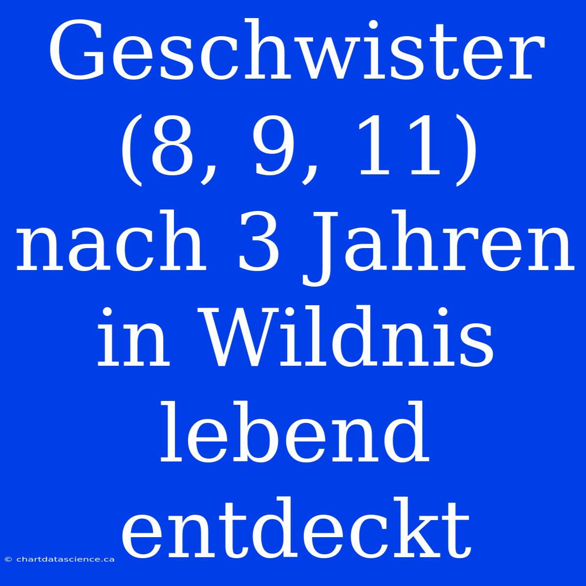 Geschwister (8, 9, 11) Nach 3 Jahren In Wildnis Lebend Entdeckt